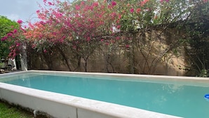 Outdoor pool - Casa Bugambilias (Bacalar)