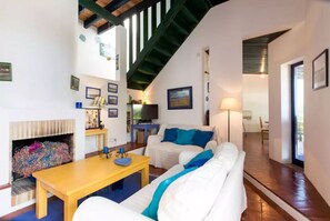 Télévision, cheminée, lecteur de DVD, livres