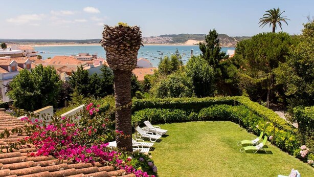 A well-maintained garden with a lawn, palm tree, and lounge chairs overlooking a coastal view.