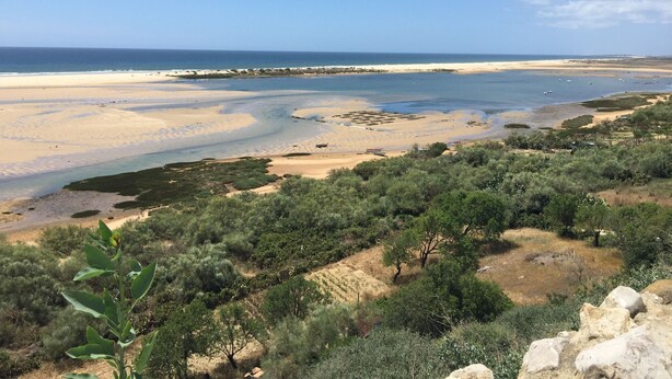 A coastal landscape with a sandy beach, a rocky shoreline, and sparse vegetation. - Spacious apartment in restored manor house on Tavira riverfront (WiFi) (Tavira)