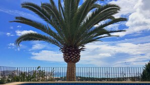 A palm tree in front of a swimming pool with a clear sky and distant mountains. - House / Villa - MORAIRA (Moraira)
