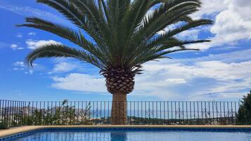 A palm tree in front of a swimming pool with a clear sky and distant mountains.
