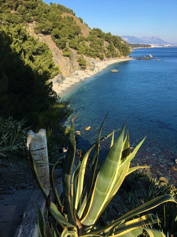 Plage à proximité