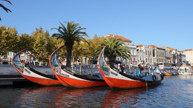 Tres botes tradicionales amarrados en una orilla, con edificios y palmeras al fondo.