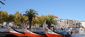 AMAZING APARTMENT IN THE CENTER OF AVEIRO WITH VIEW TO THE RIVER AND GARDEN (WiFi)