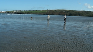 A calm lake with people walking and a dog. - Holiday getaway, log burner, romantic retreat (Blaenffos, Boncath)