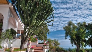 Un edificio con facciata bianca, un albero grande e vista sull'oceano.