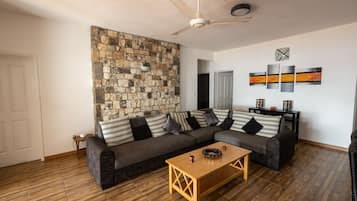 TV, DVD player, books, video library