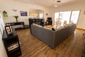 TV, DVD player, books, video library