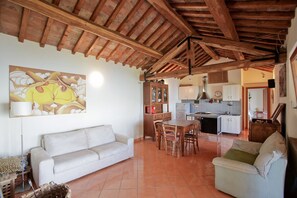 تلفزيون، مدفأة