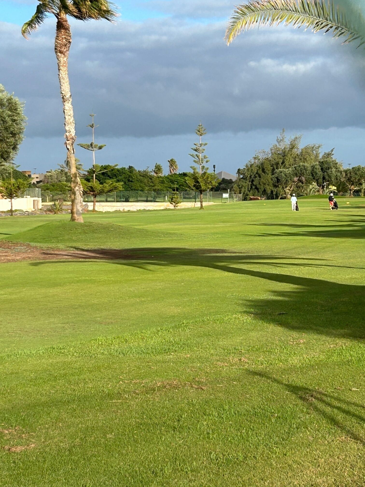 A well-maintained golf course with a clear sky, palm trees, and a few people playing.
