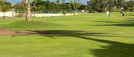 A well-maintained golf course with a clear sky, palm trees, and a few people playing.