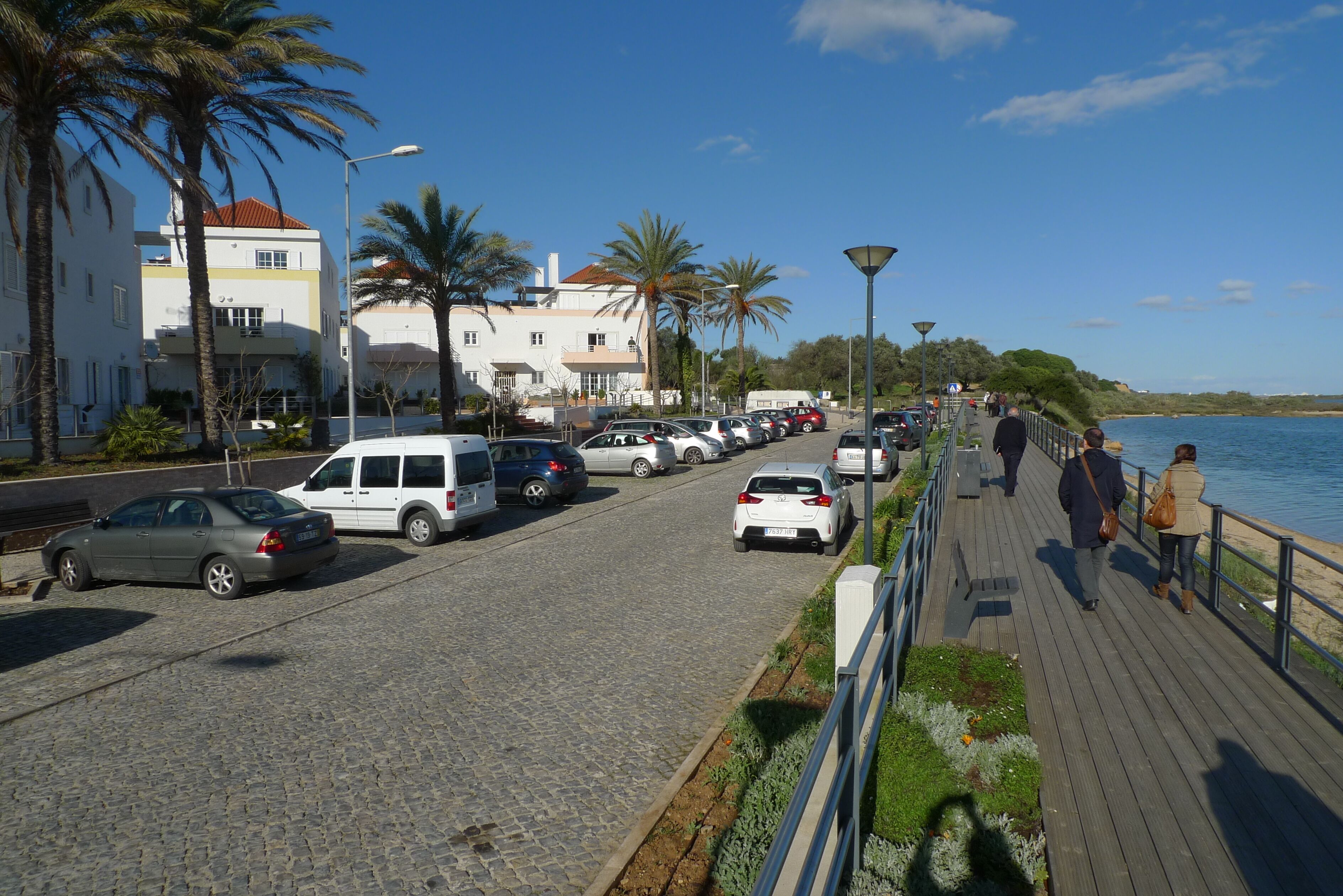 A coastal street with parked cars, a pedestrian walkway, and palm trees.