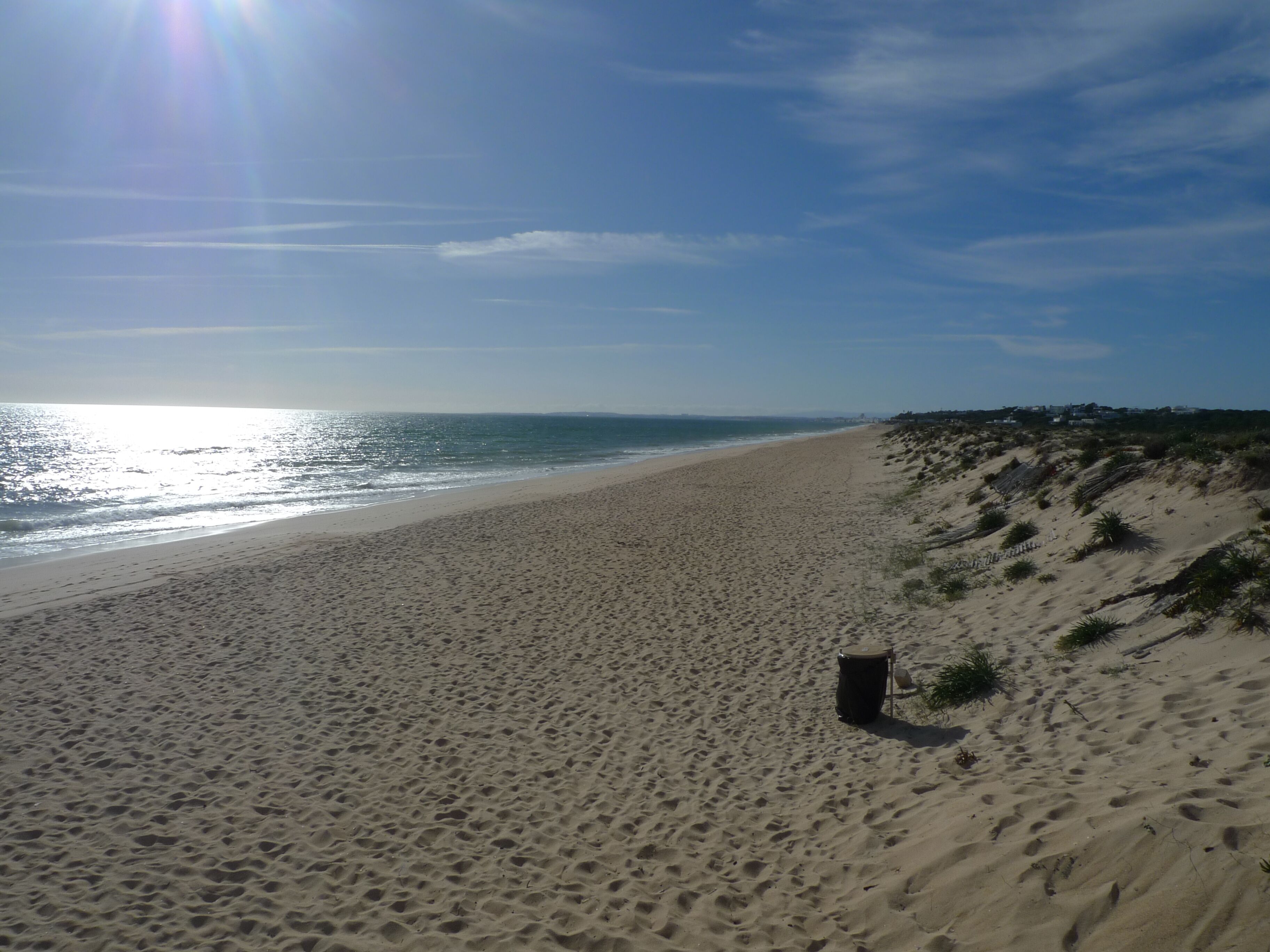 Une plage avec un ciel dégagé et une mer calme.