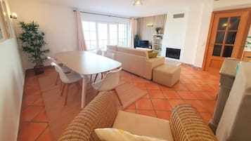 TV, fireplace, video games, DVD player