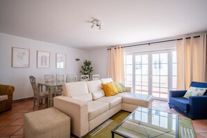 TV, fireplace, video games, DVD player