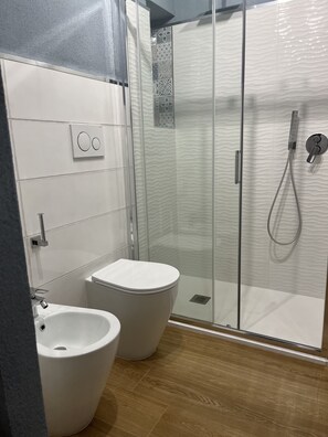 Shower, hair dryer, bidet, towels