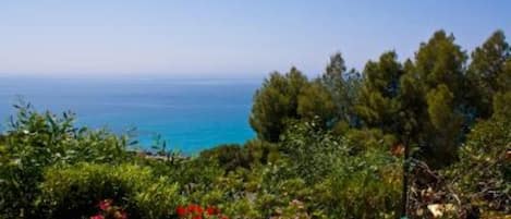 Vista desde la propiedad