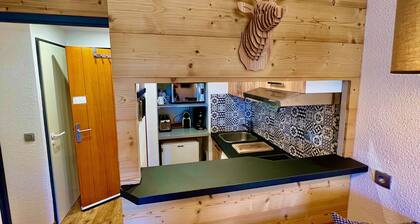 Au pied des pistes Ă l'Alpes d'huez, tres bel appartement tout confort