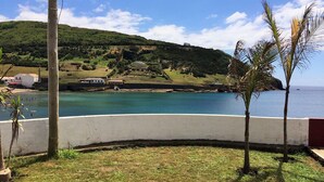 Une vue sur la côte, avec une zone herbeuse, un mur blanc et quelques palmiers.