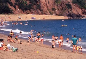 Beach nearby - Truly Spectacular Panoramic Views Over R Dart Estuary, Dartmouth from all room (Kingswear)