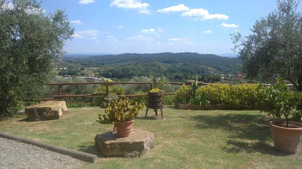 Un jardin agrémenté de plantes en pot, offrant une vue sur des collines lointaines.