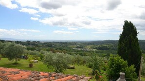 Blick über eine ländliche Landschaft mit blauem Himmel, einer hohen Zypresse und einer Stadt in der Ferne.