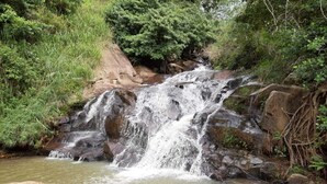 Une cascade naturelle, entourée de verdure et de rochers.