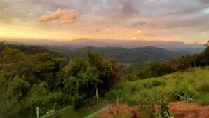 Une vue panoramique sur un paysage, avec un sentier qui traverse une zone boisée et mène vers des collines lointaines.