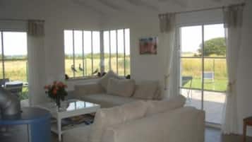 Tv, eldstad, dvd-spelare och böcker