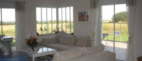 TV, fireplace, DVD player, books