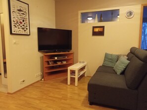 Smart TV, DVD player, books