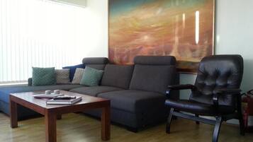 TV, caminetto, lettore DVD, libri