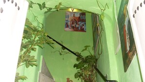 A green wall with a painting of a street scene, a potted plant, and a small terracotta jug.