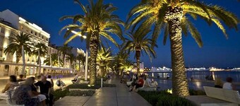 Din Perfect Dalmatian Holiday