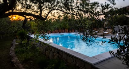 Villa confortable con piscina situado en su propio olivar