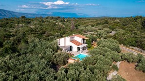 A modern house with a swimming pool surrounded by dense greenery and olive trees. - Eclectic Villa with Swimming Pool set in it's own Olive Grove (Stari Grad)