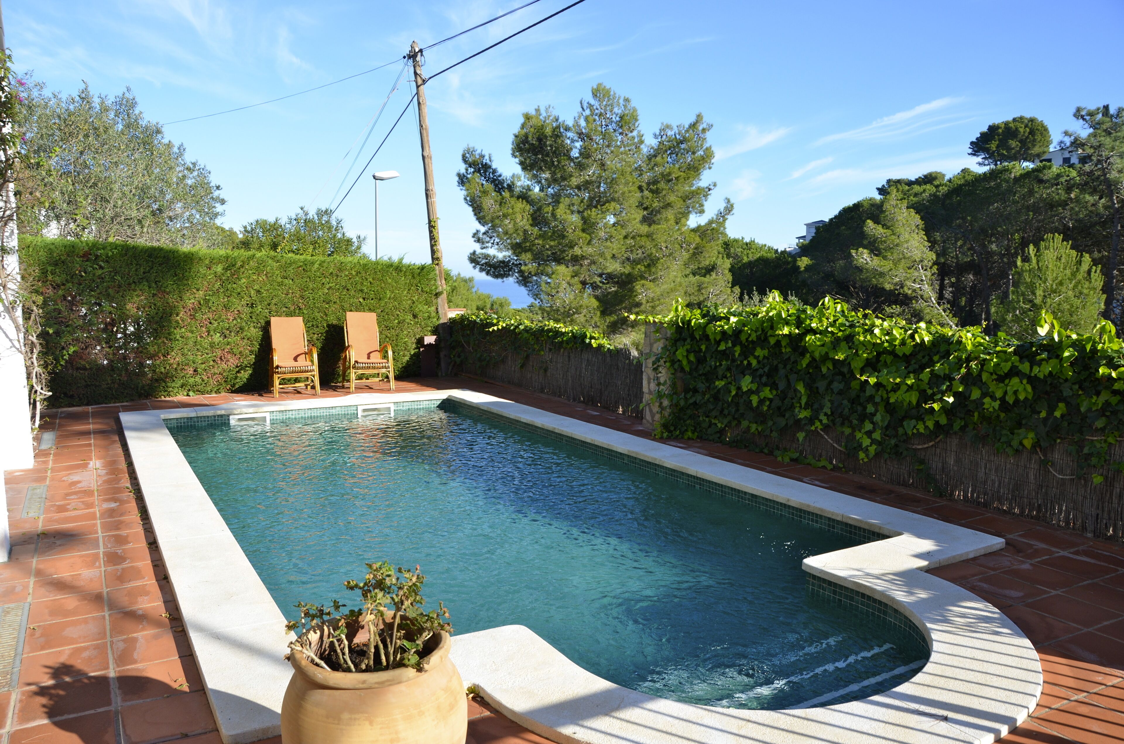 Piscina rectangular con solárium de baldosas, rodeada de setos y árboles.