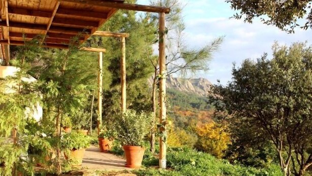 Un espace extérieur abrité, doté d’un sentier de terre, de plantes en pot et offrant une vue sur un paysage montagneux.