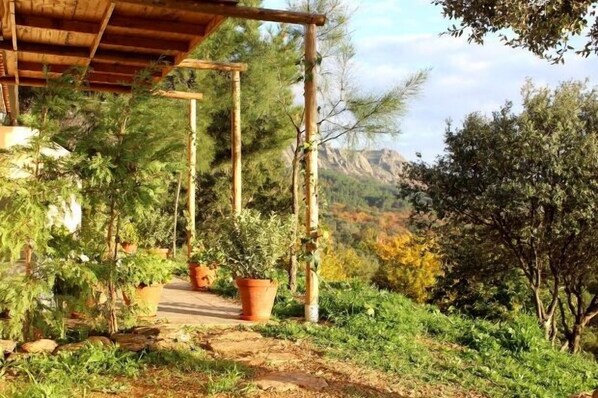 Property grounds - Apartment for 2 people in one place (A4) (Berzocana)