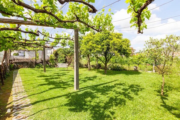 Un jardin bien entretenu, agrémenté d’un chemin de pierres, d’un banc en bois et d’une pergola couverte de vignes.