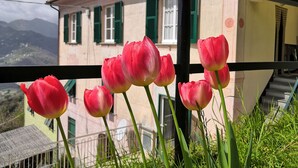 Un balcon orné de tulipes roses, avec vue sur un immeuble aux volets verts.
