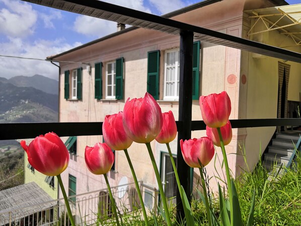 A balcony with pink tulips and a view of a building with green shutters.