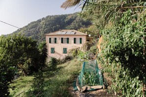 Área da propriedade