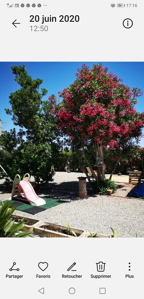 Terrein van de accommodatie