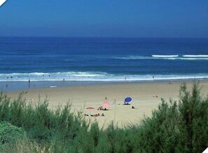 Playa en los alrededores 