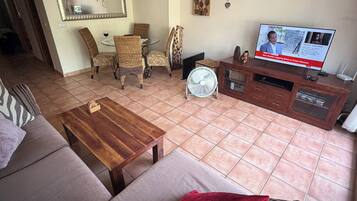 Een smart-tv, een dvd-speler, boeken en een stereo