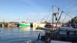 A harbor with several boats docked, including a green and white ship labeled "PWA". - Hill Rise Cottage in beautiful Trevone Bay, near Padstow, North Cornwall (Trevone, Padstow)