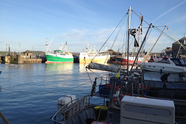 Port de plaisance