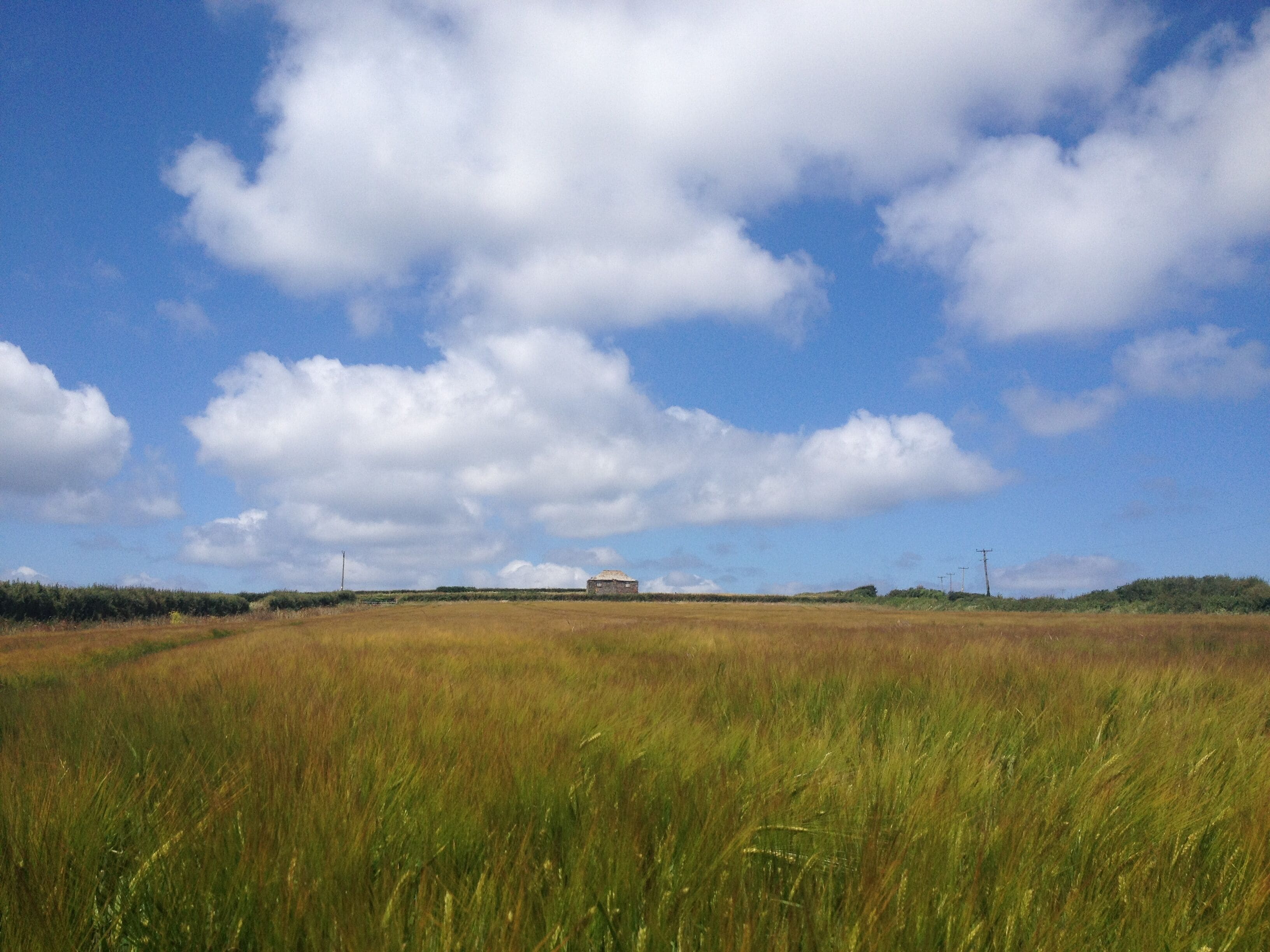 A field with a building in the distance under a partly cloudy sky.